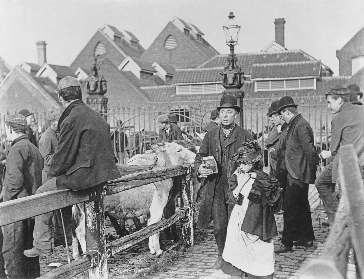 British village cattle market, Victorian, 19th century by English School