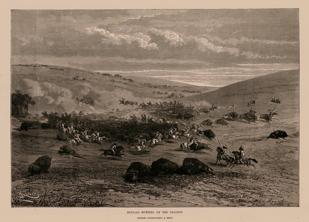 Buffalo Hunting on the Prairies by English School