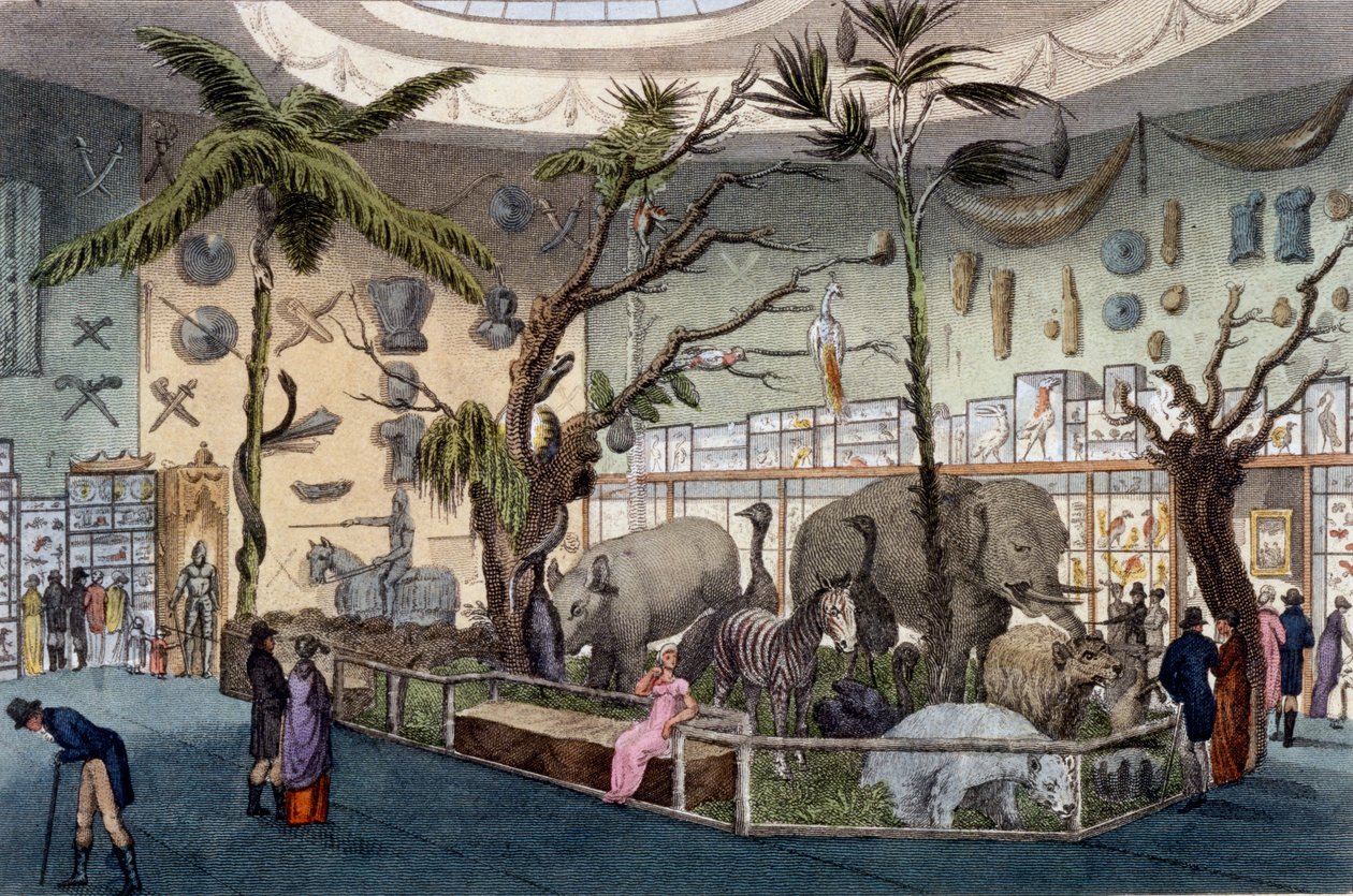 Bullocks Museum, 22 Piccadilly, London, from Ackermann