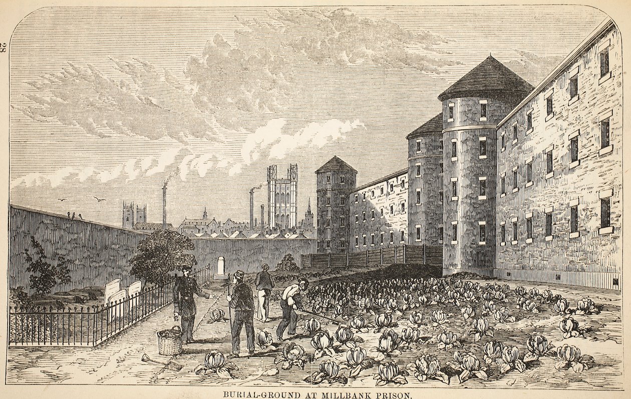 Burial-ground at Millbank Prison, illustration from The Criminal Prisons of London and Scenes from Prison Life by Henry Mayhew and John Binny, pub. 1862 by English School