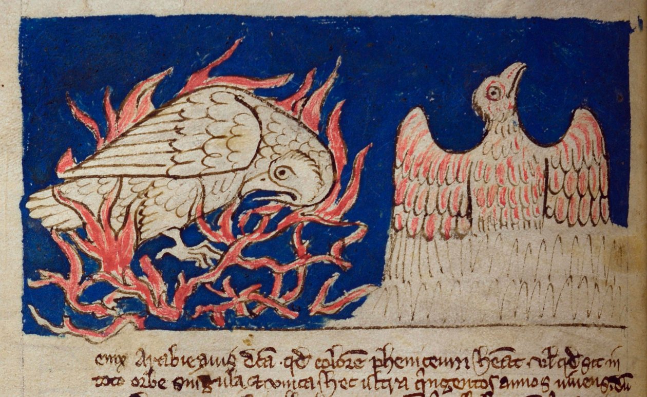 Phoenix, from Bestiary by English School