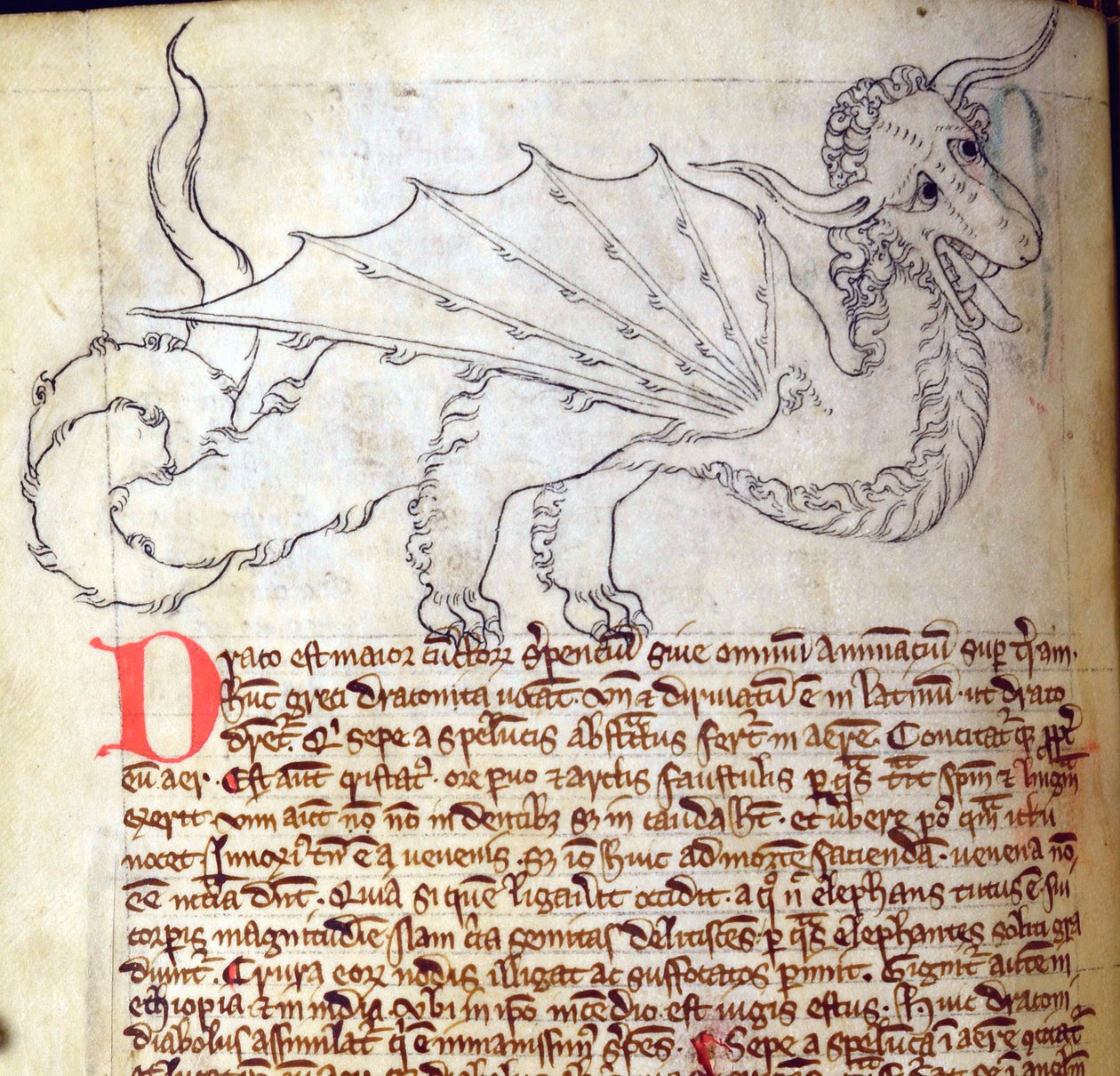 Dragon, from Bestiary by English School