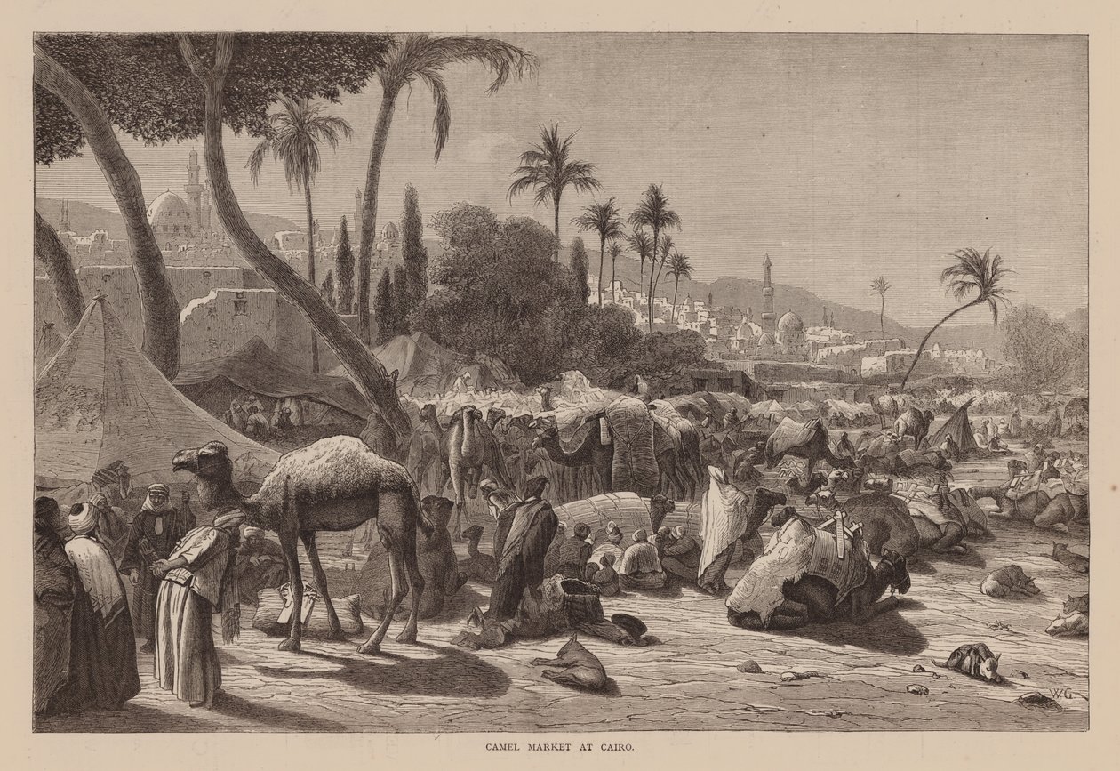 Camel Market at Cairo by English School