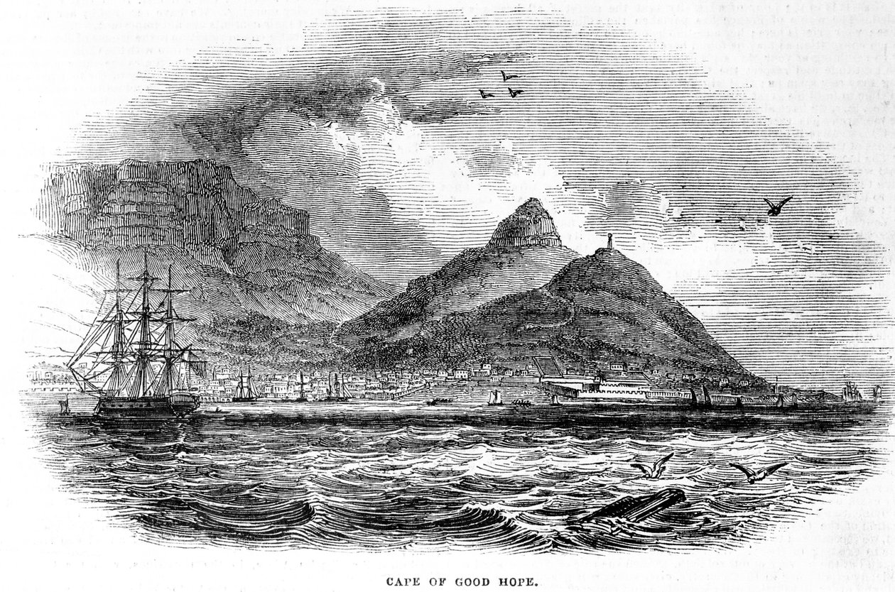 Cape of Good Hope by English School