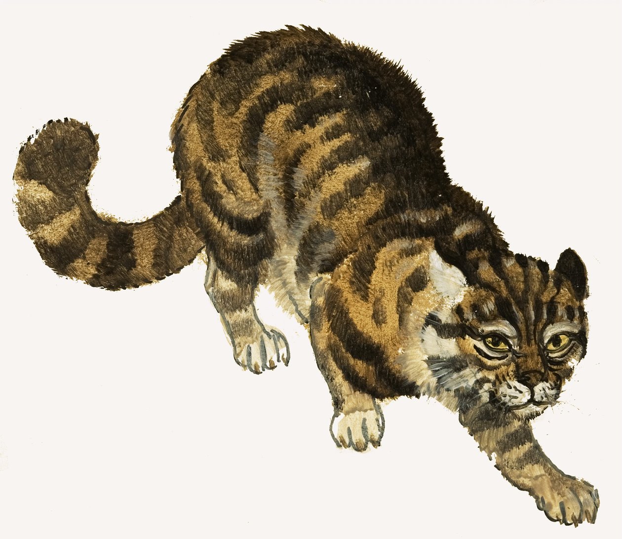 Cat by English School