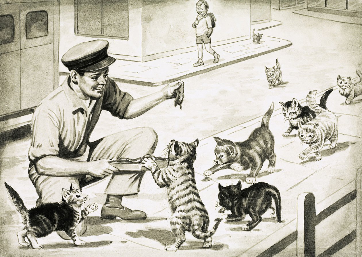 Cats Come to Greet the Cat