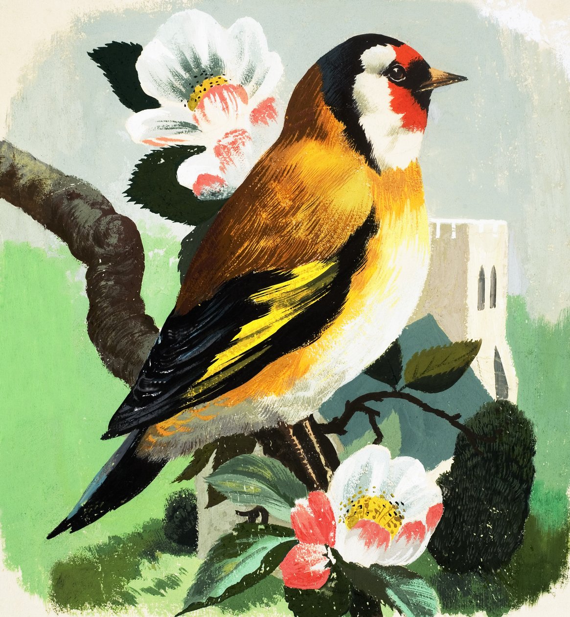 Chaffinch by English School
