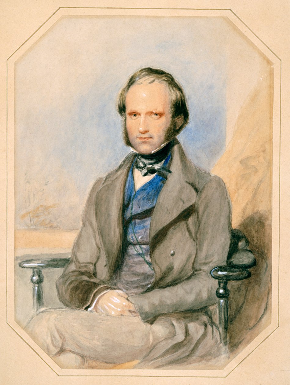 Charles Darwin by English School