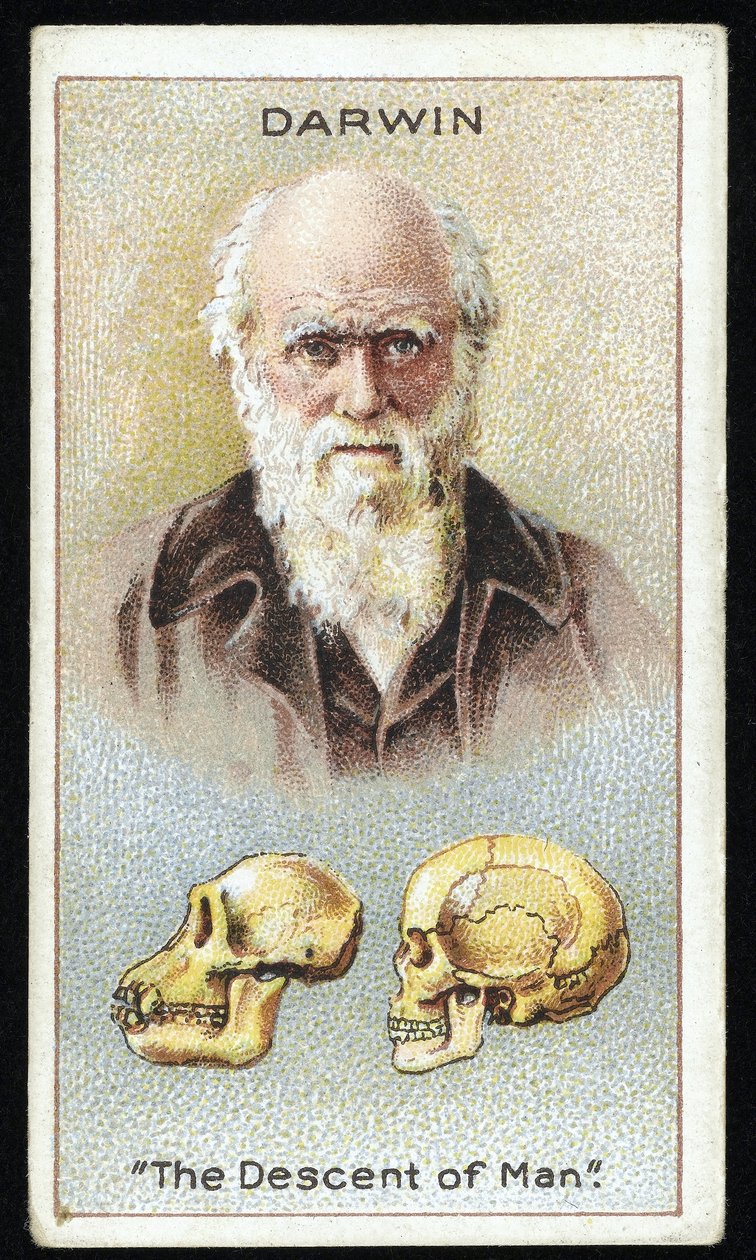 Charles Darwin, 