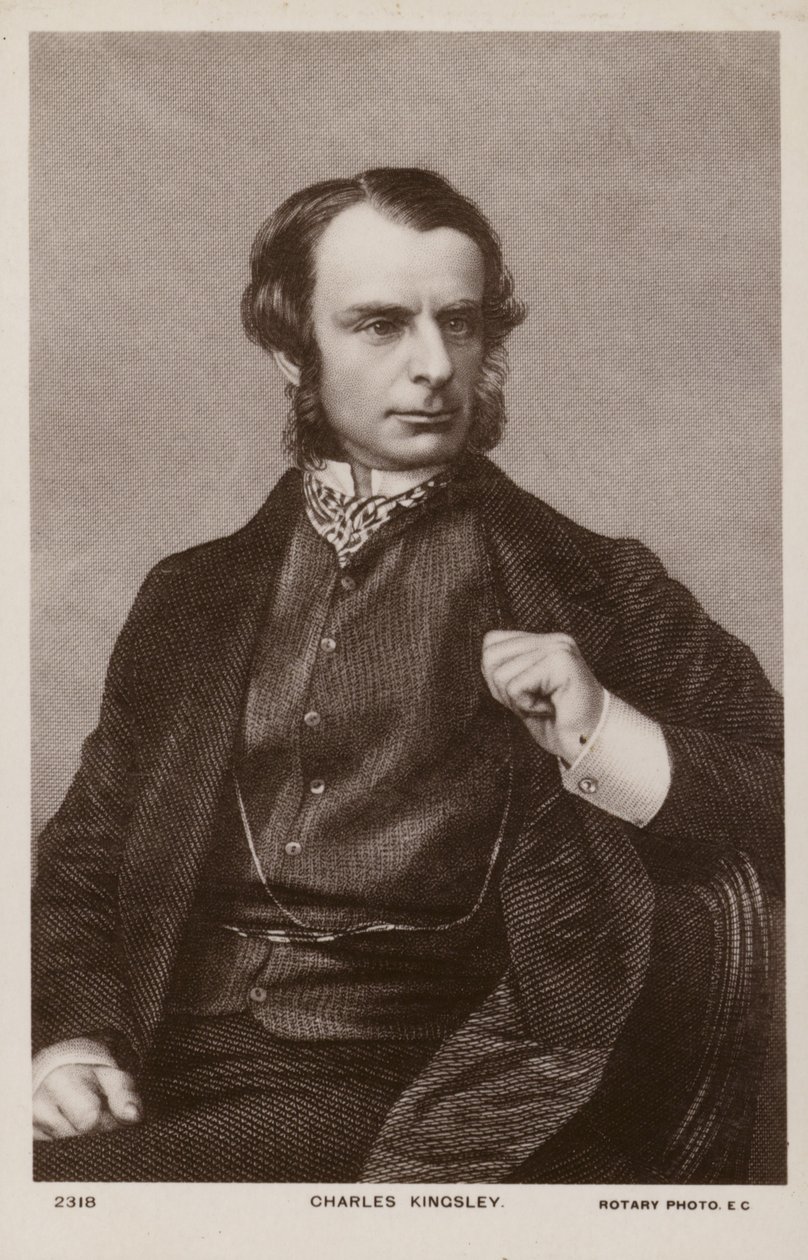 Charles Kingsley (1819-1875), English clergyman, historian and novelist by English School
