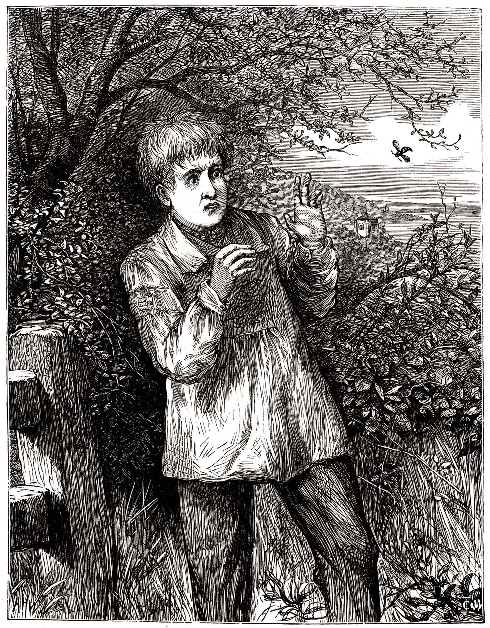 Child Frightened by a Bee - Illustration, Beginning 20th Century by English School
