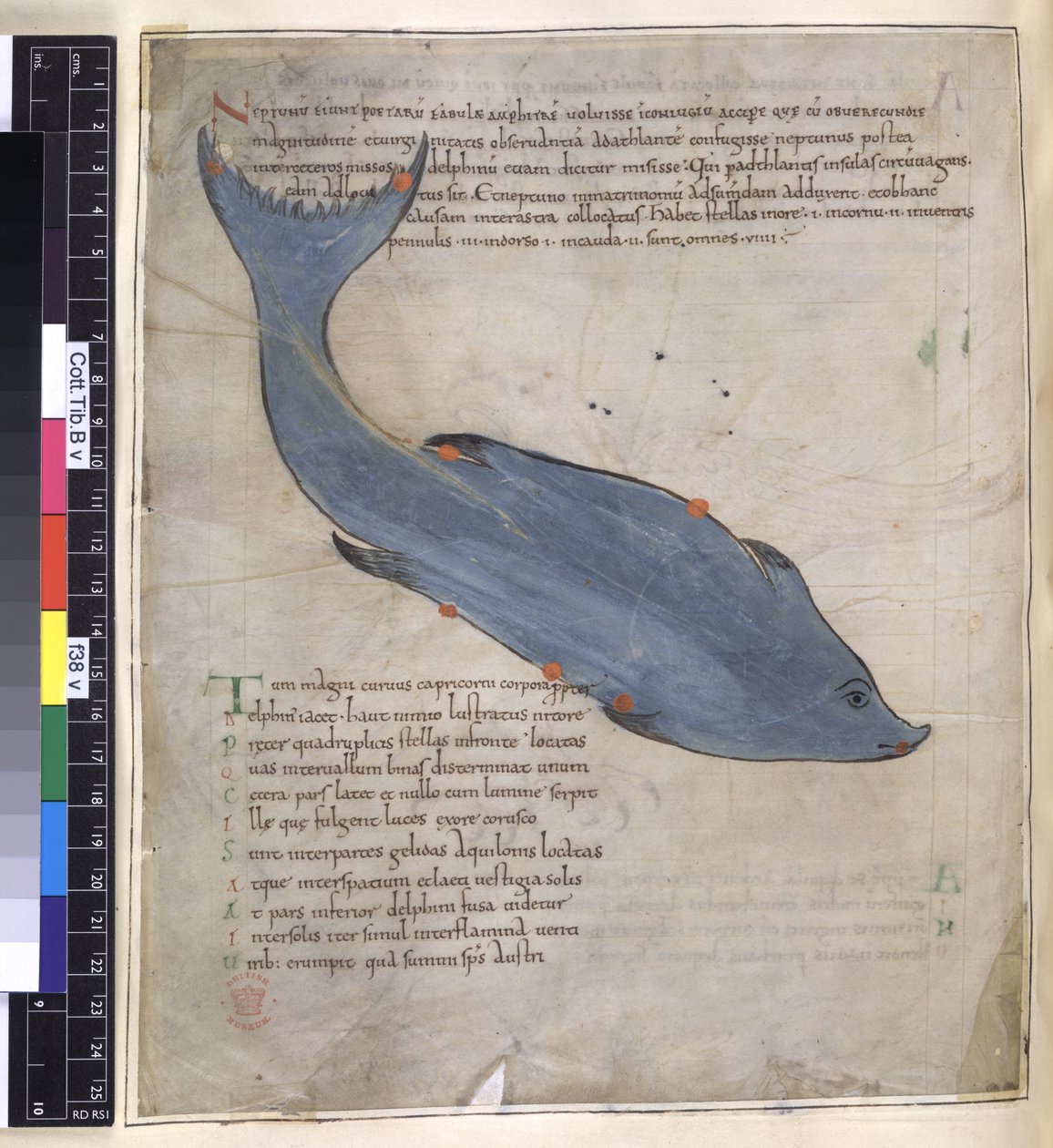 The constellation of Delphinus from 