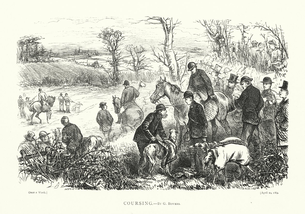 Coursing by English School