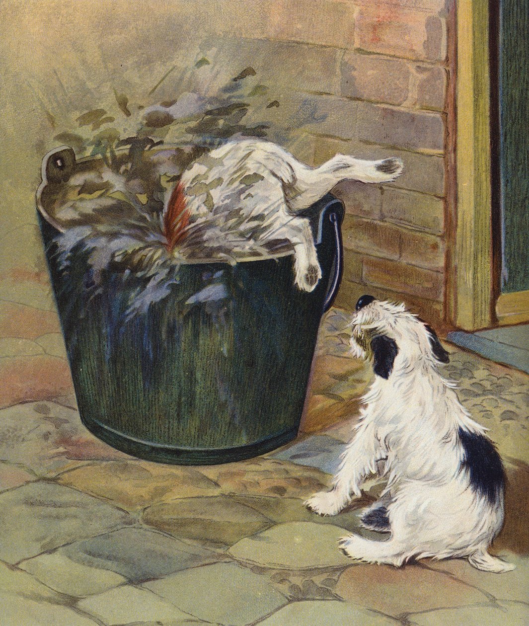 Curiosity Punished by English School