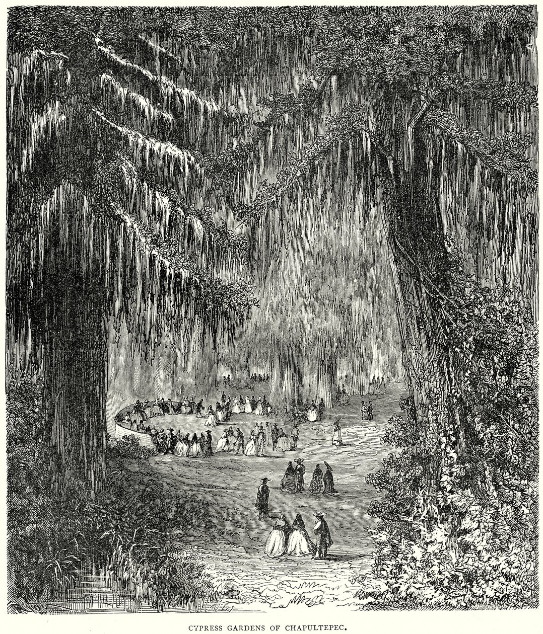 Cypress Gardens of Chapultepec (engraving) by English School