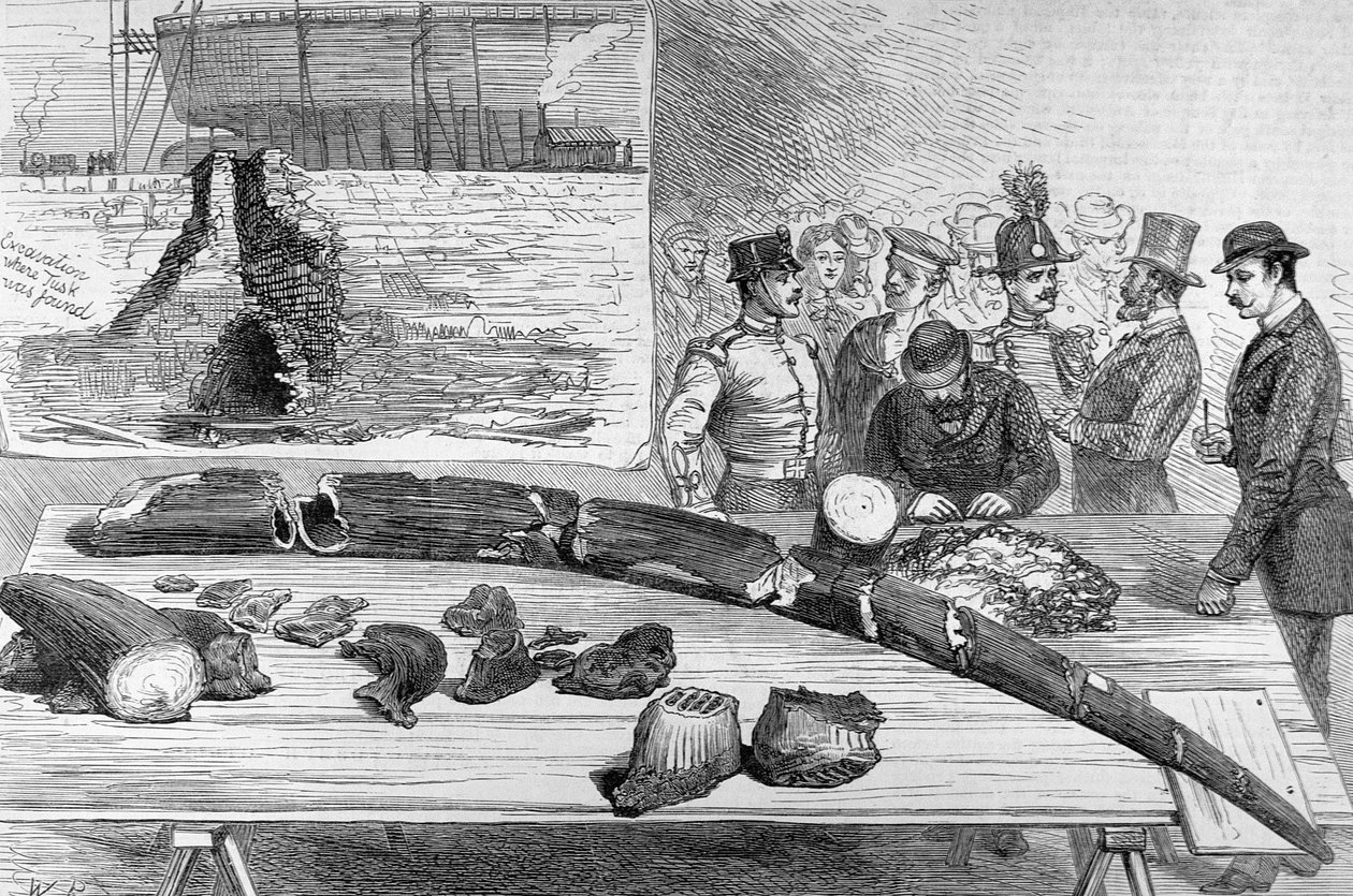 Discovery of Fossil Remains at Leghorn, Tuscany by English School