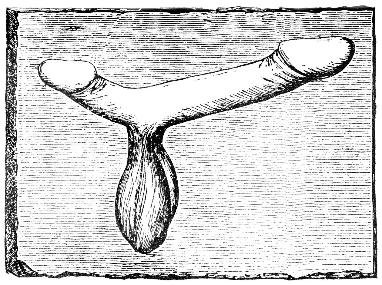 Double phallus from the lintel of a vomitorium (exit passage) at the Nimes amphitheatre by English School