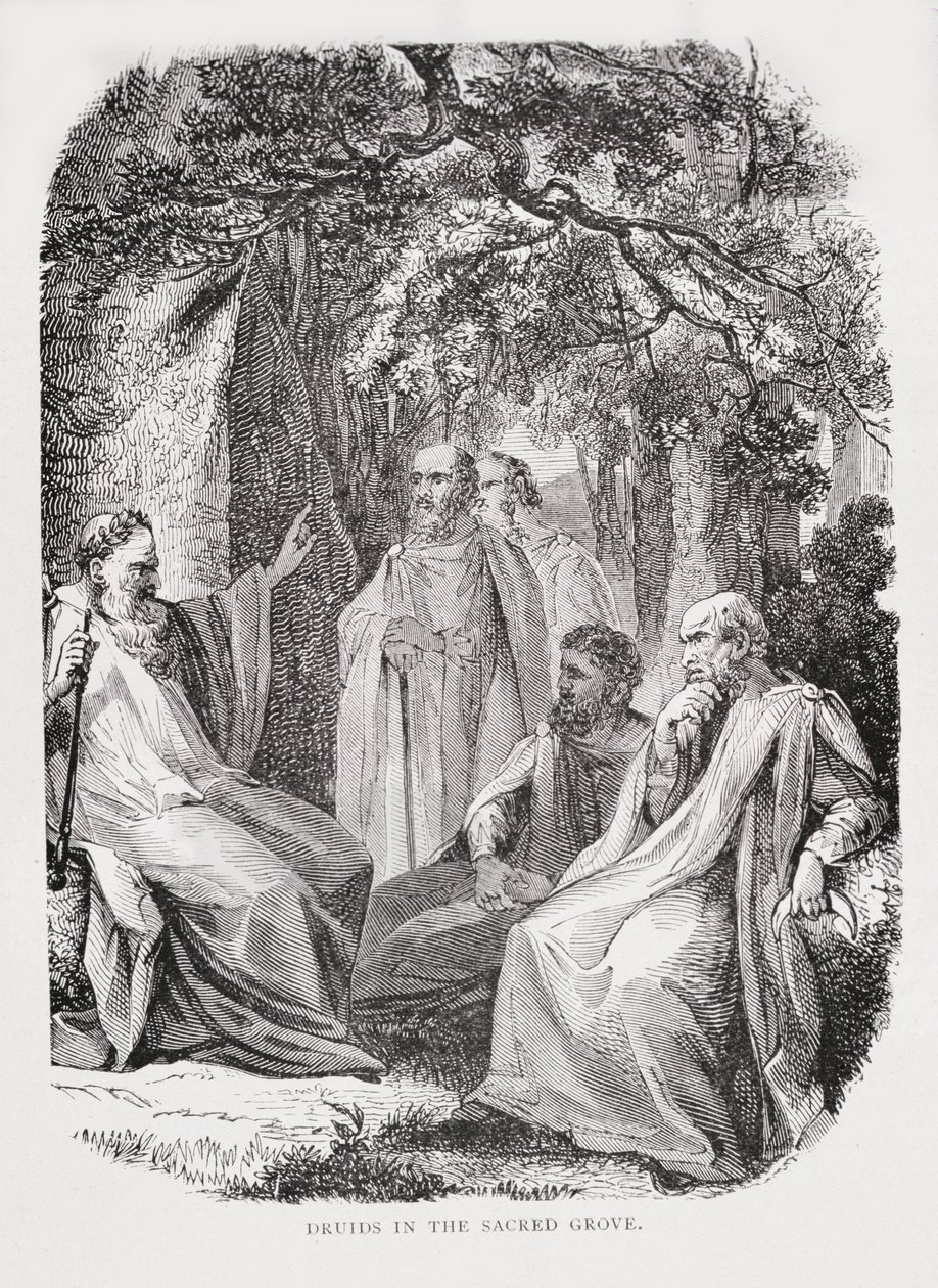 Druids in the Sacred Grove, from The History of France, by Emile de Bonnechose by English School