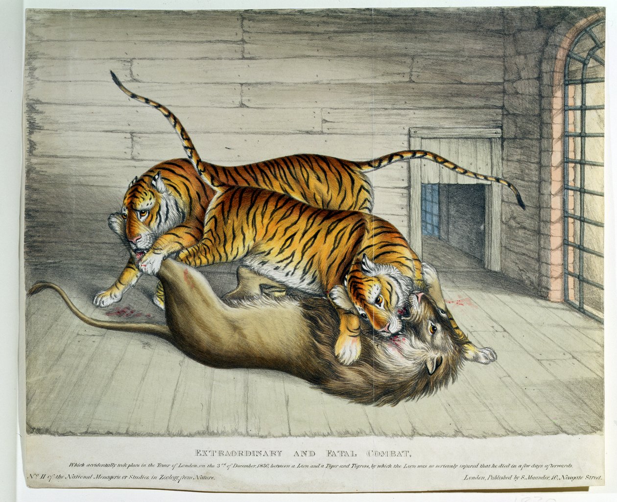 Extraordinary and Fatal Combat, 1830 by English School