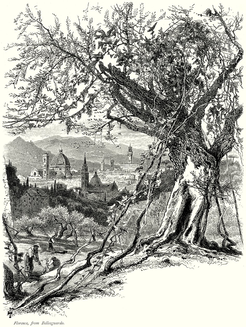 Florence, from Bellosguardo by English School