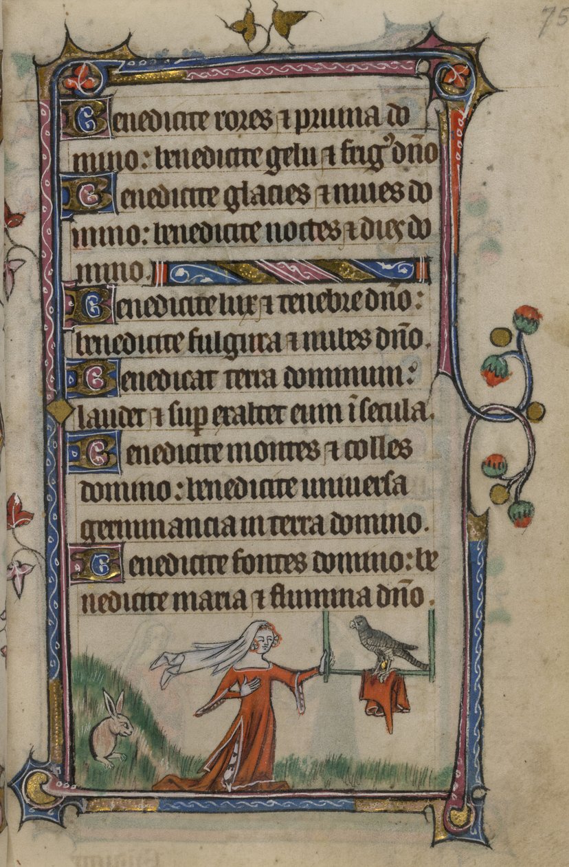 Illustration from the 