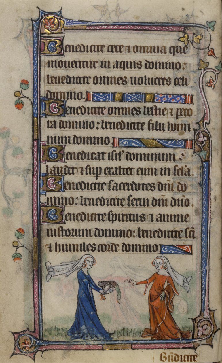 Illustration from the 