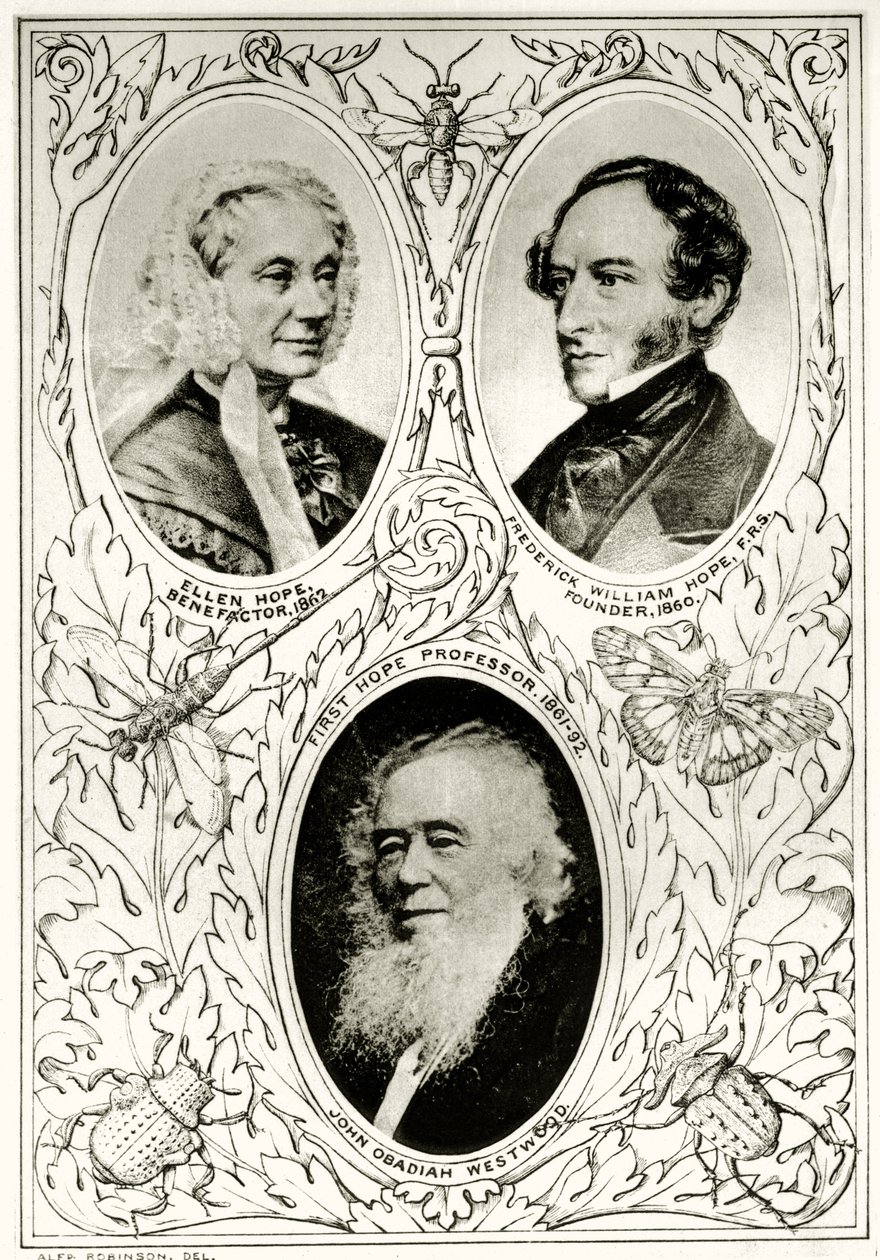 Frontispiece from The Hope Reports, Vol. II, 1897-1900, edited by Edward B. Poulton, Oxford, 1901 by English School