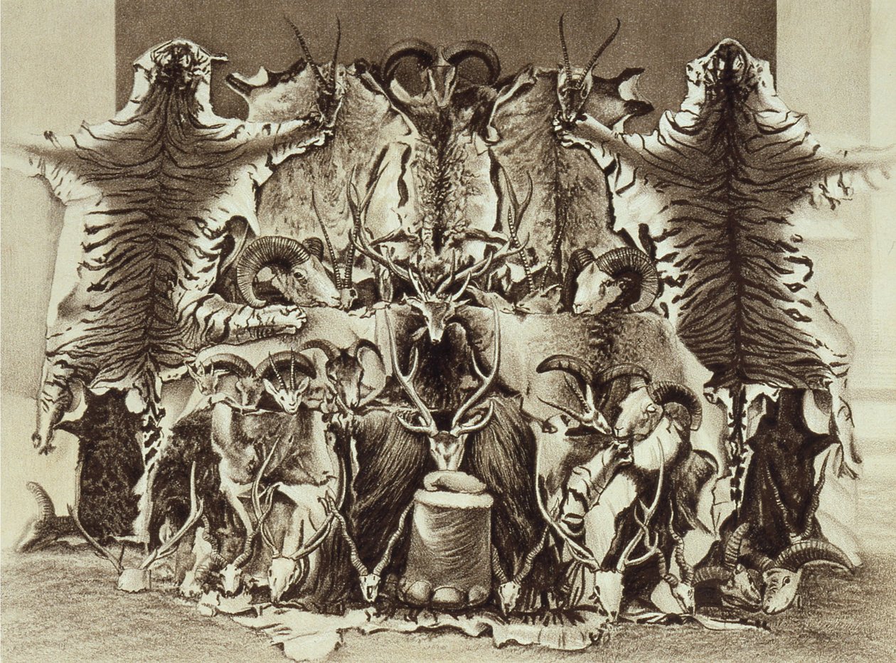 Frontispiece of Large Game Shooting in Tibet, the Himalayas and Northern India by Colonel Alexander Kinloch, published 1885 by English School