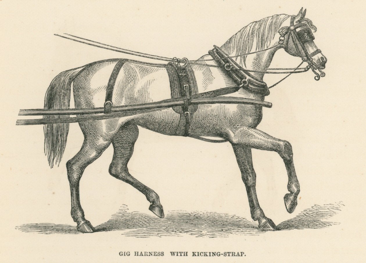 Gig Harness with Kicking-Strap by English School