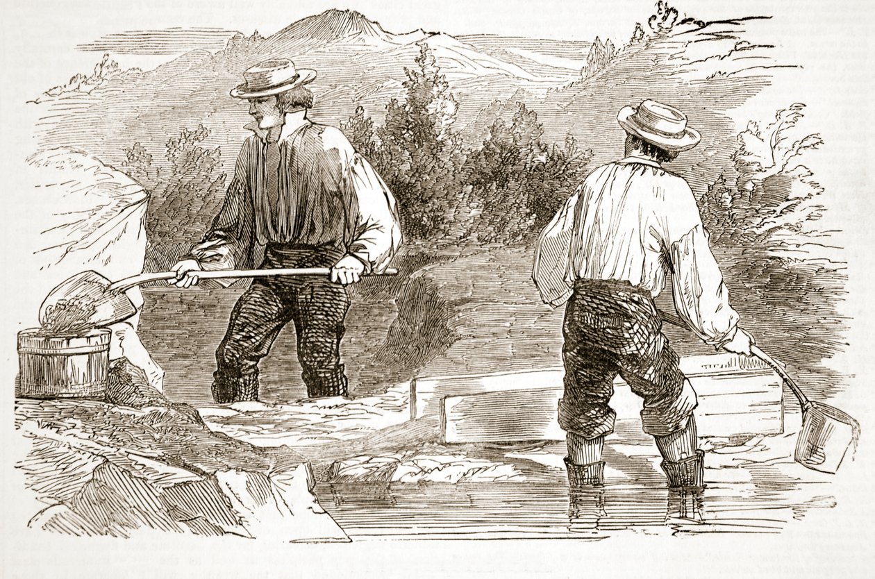 Gold-Washing at the Diggings, from The Illustrated London News, 1849 by English School