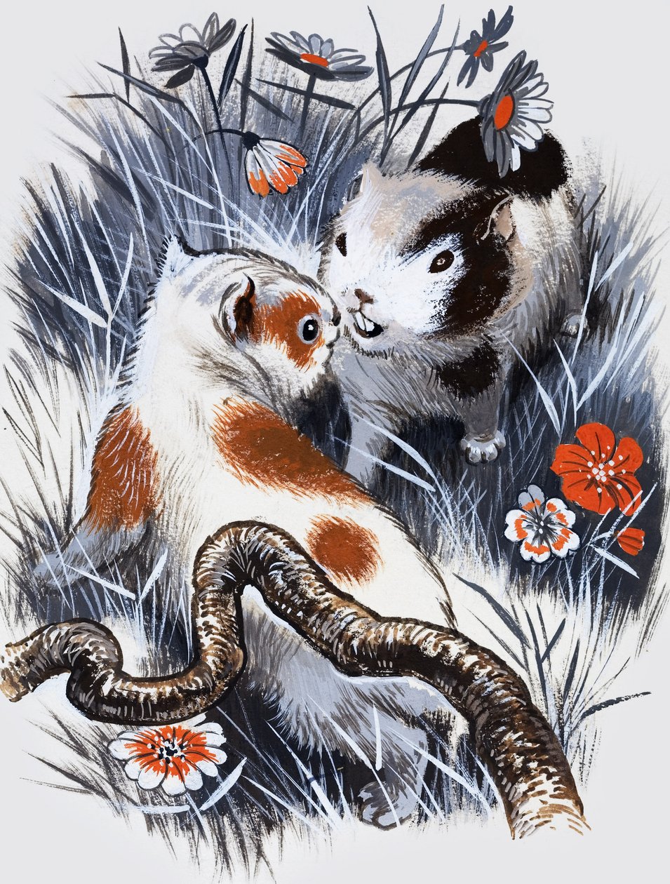 Guinea Pig by English School