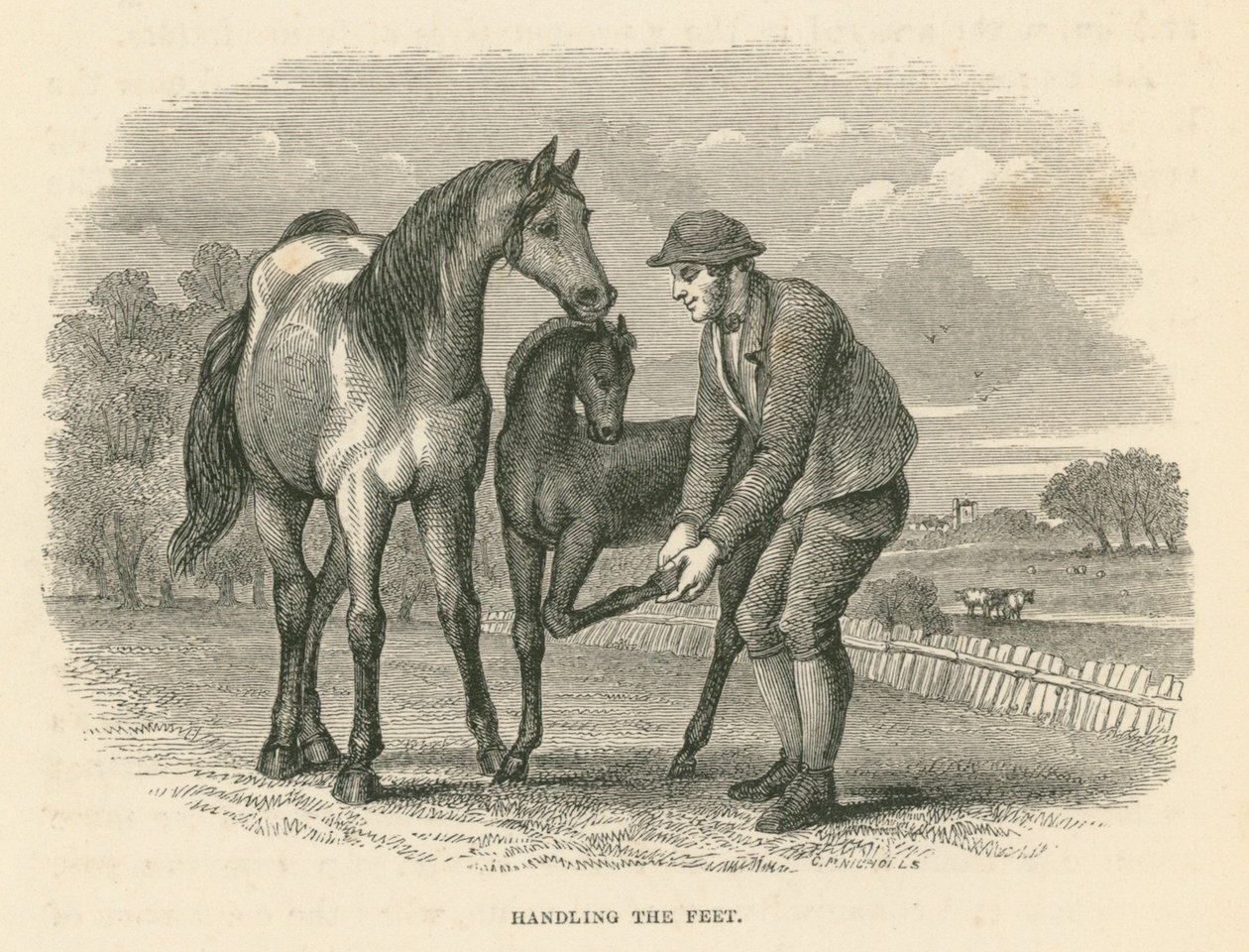 Handling the Feet by English School