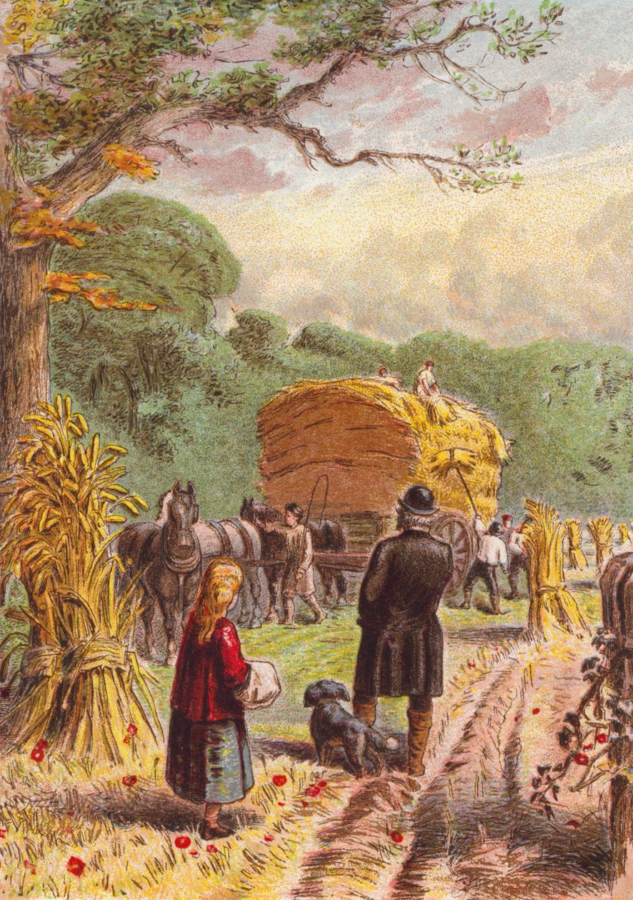 Harvesting in the Fields by English School