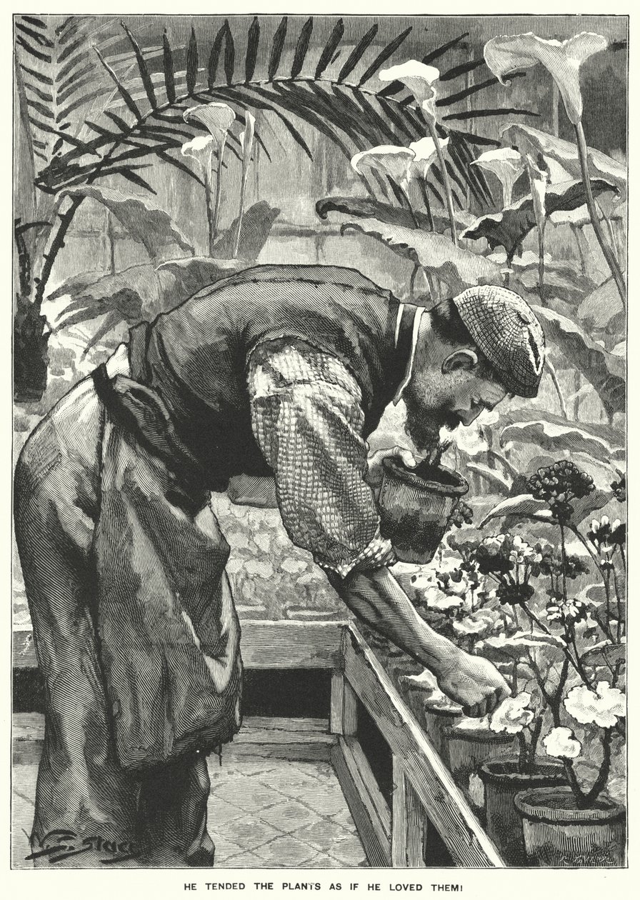He Tended the Plants as if He Loved Them! by English School