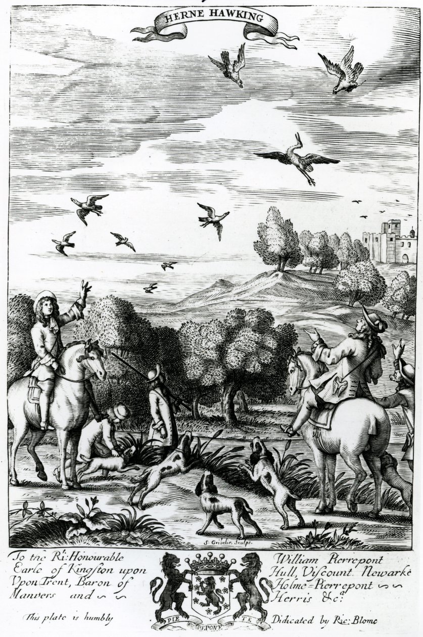 Herne Hawking, from 