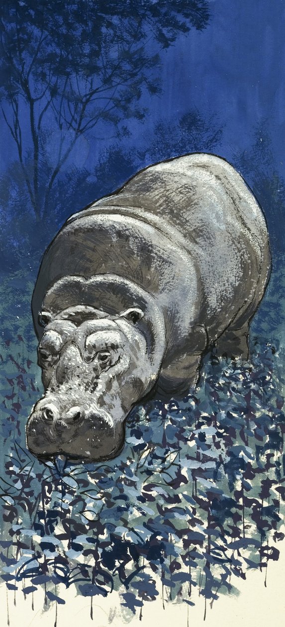 Hippopotamus by English School