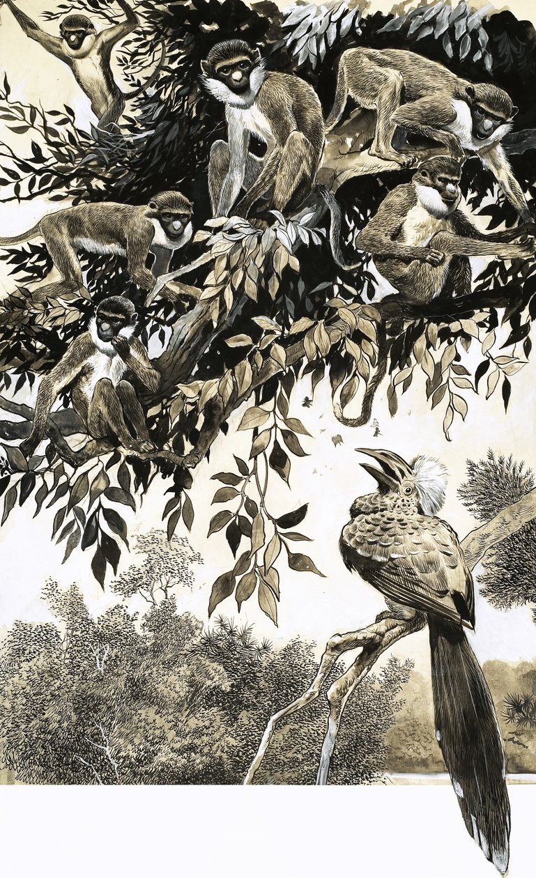 Hornbill and monkeys by English School