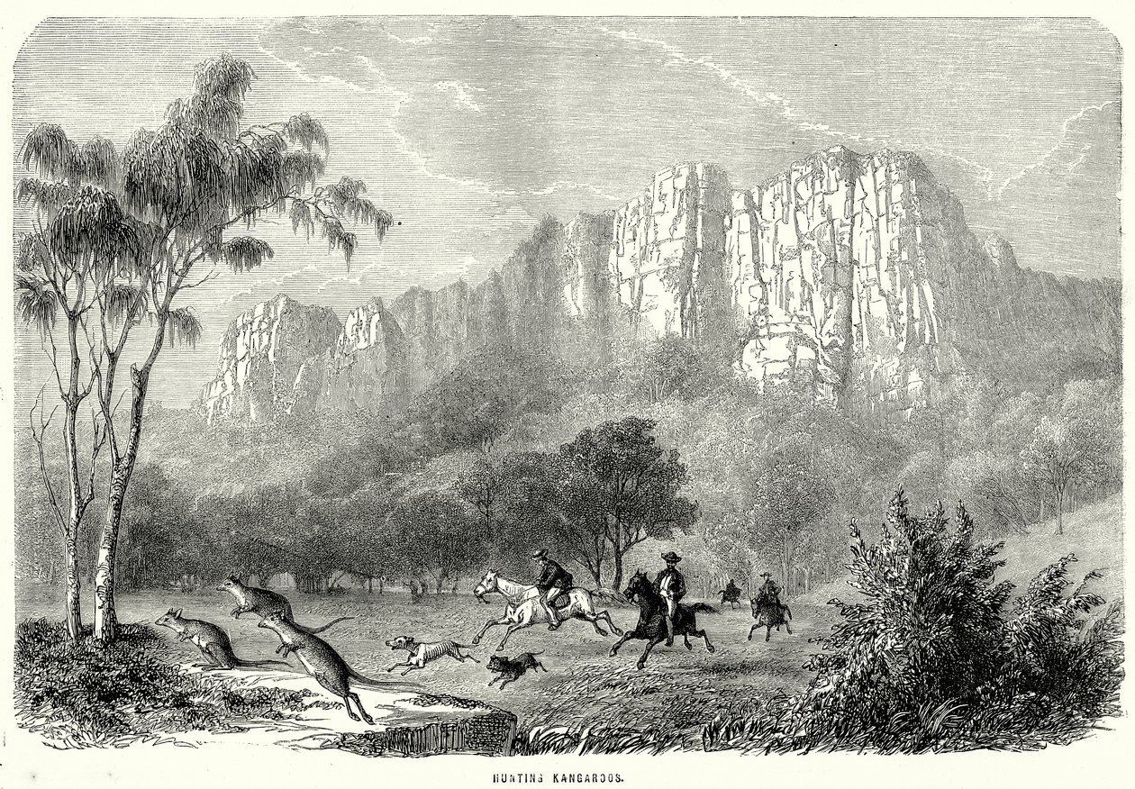 Hunting Kangaroos by English School