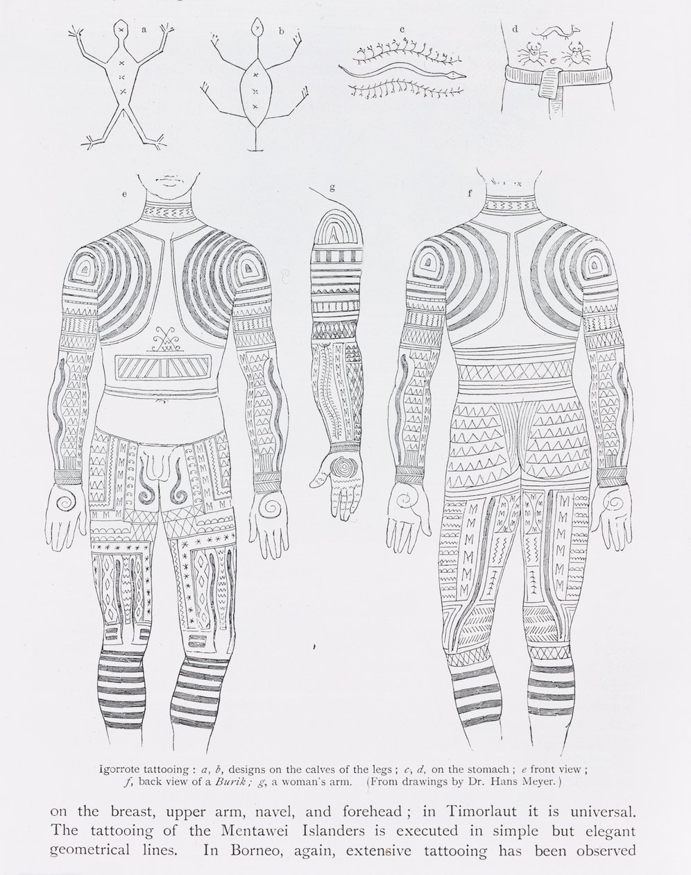 Igorrote Tattooing by English School