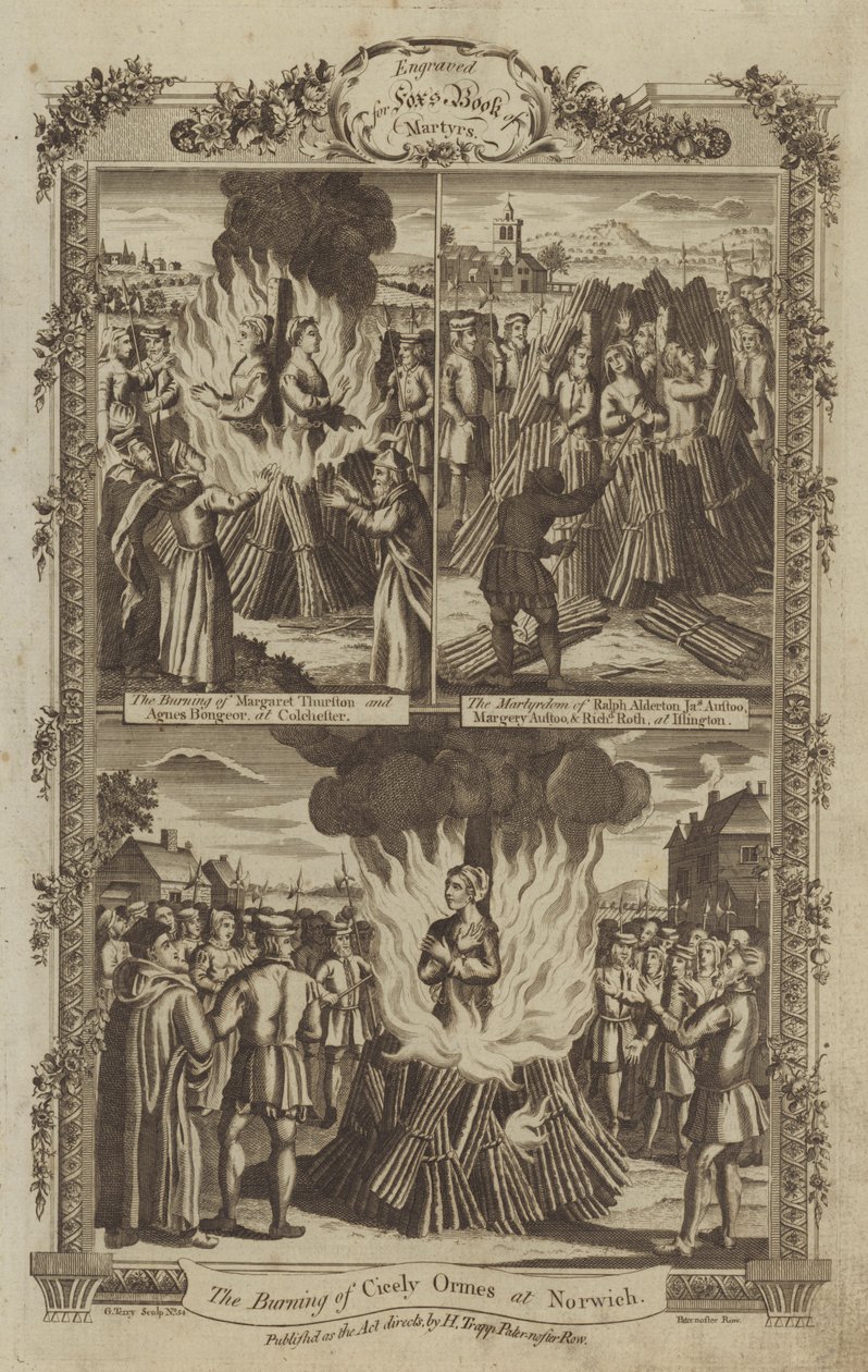 Illustration for Fox
