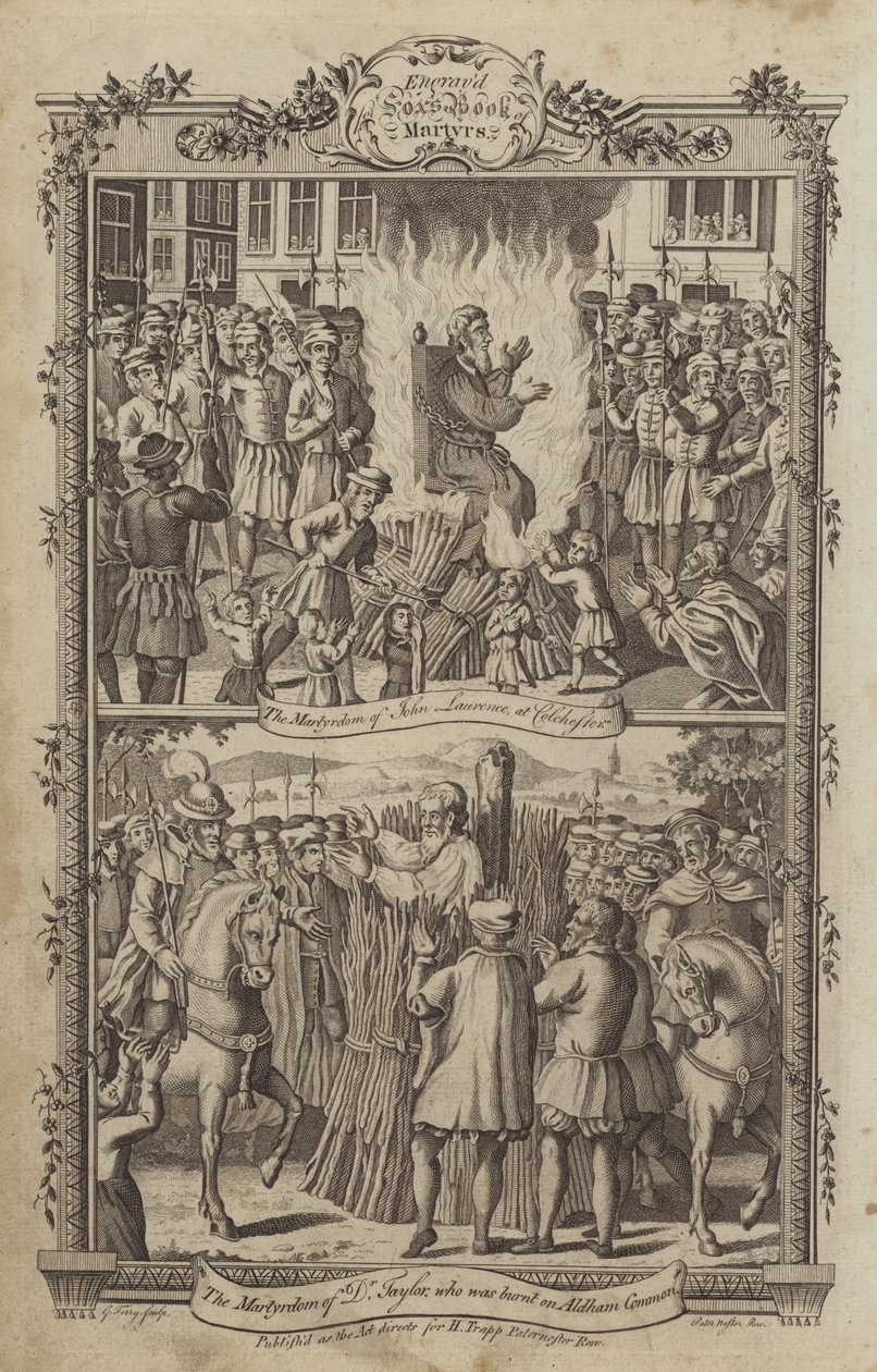 Illustration for Fox