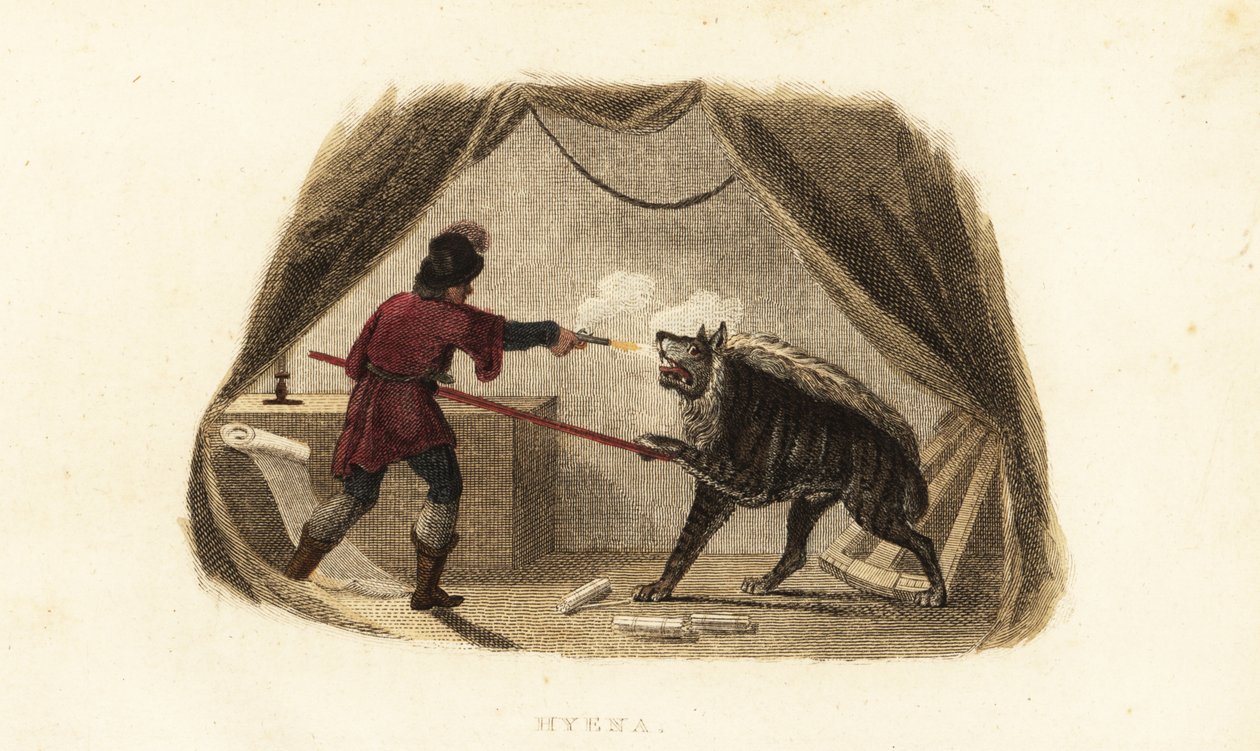 James Bruce killing a hyena with pistol and pike in his tent in Maitsha, Abyssinia by English School