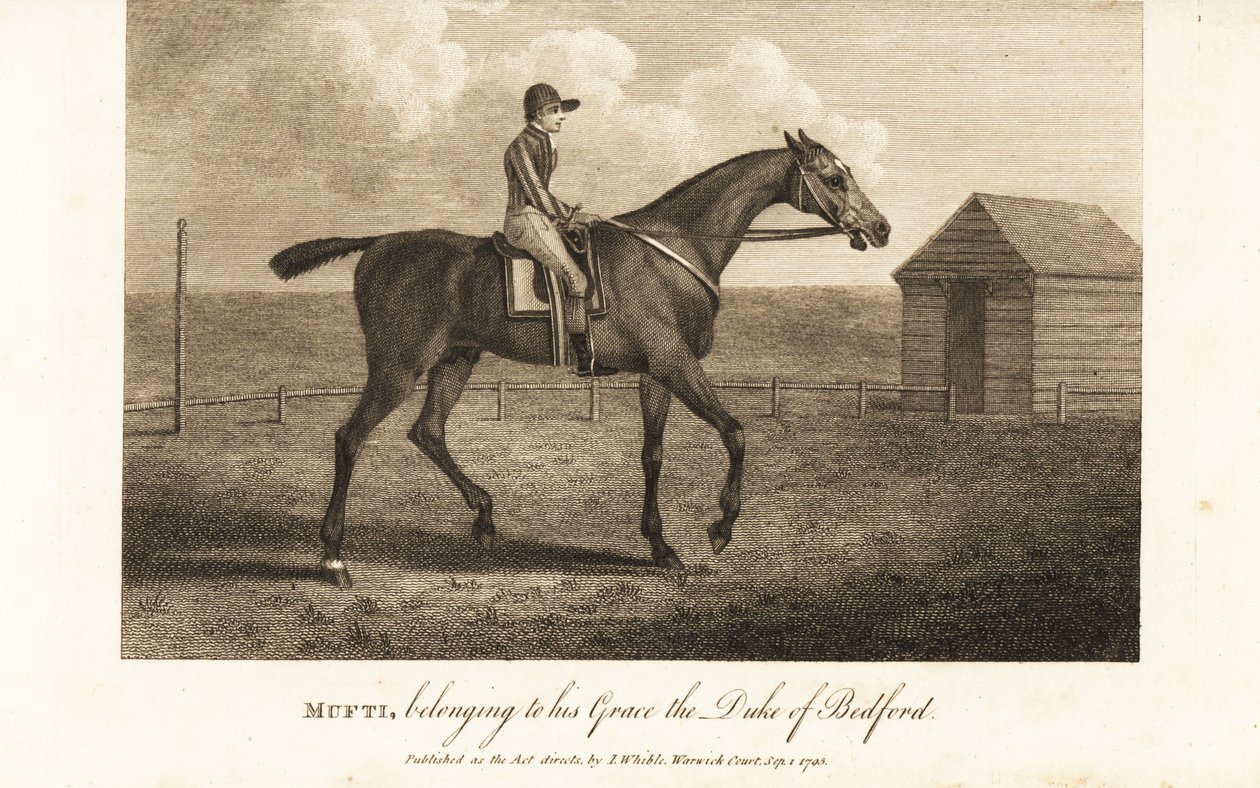 Jockey on the celebrated thoroughbred racer Mufti, belonging to his Grace the Duke of Bedford by English School