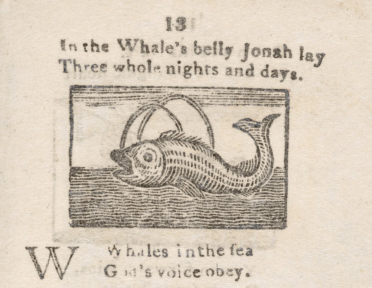Jonah in the Whale