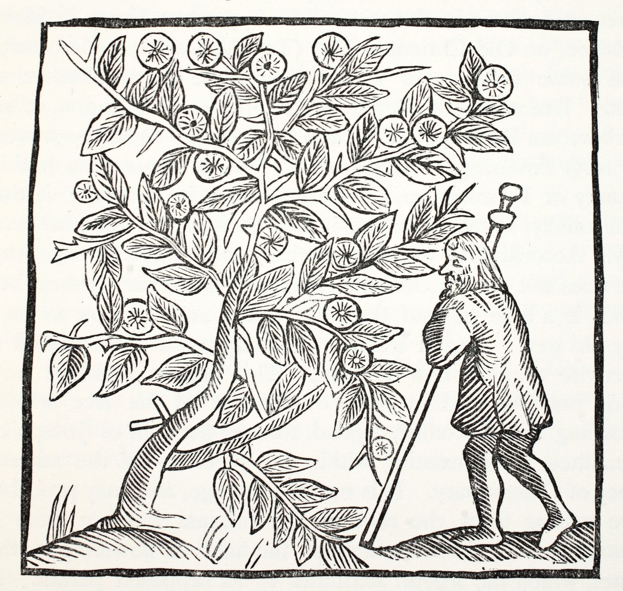 Joseph of Arimathea and the Glastonbury Thorn, illustration from Chap-books of the Eighteenth Century by John Ashton, pub. 1882 by English School