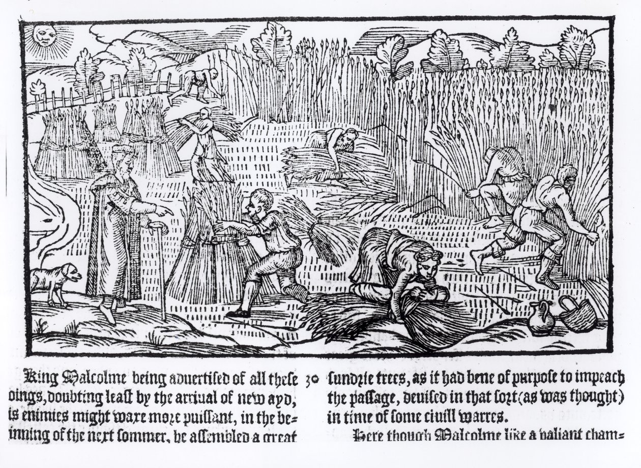 King Malcolm of Scotland Observes Agricultural Labour, 1586 by English School