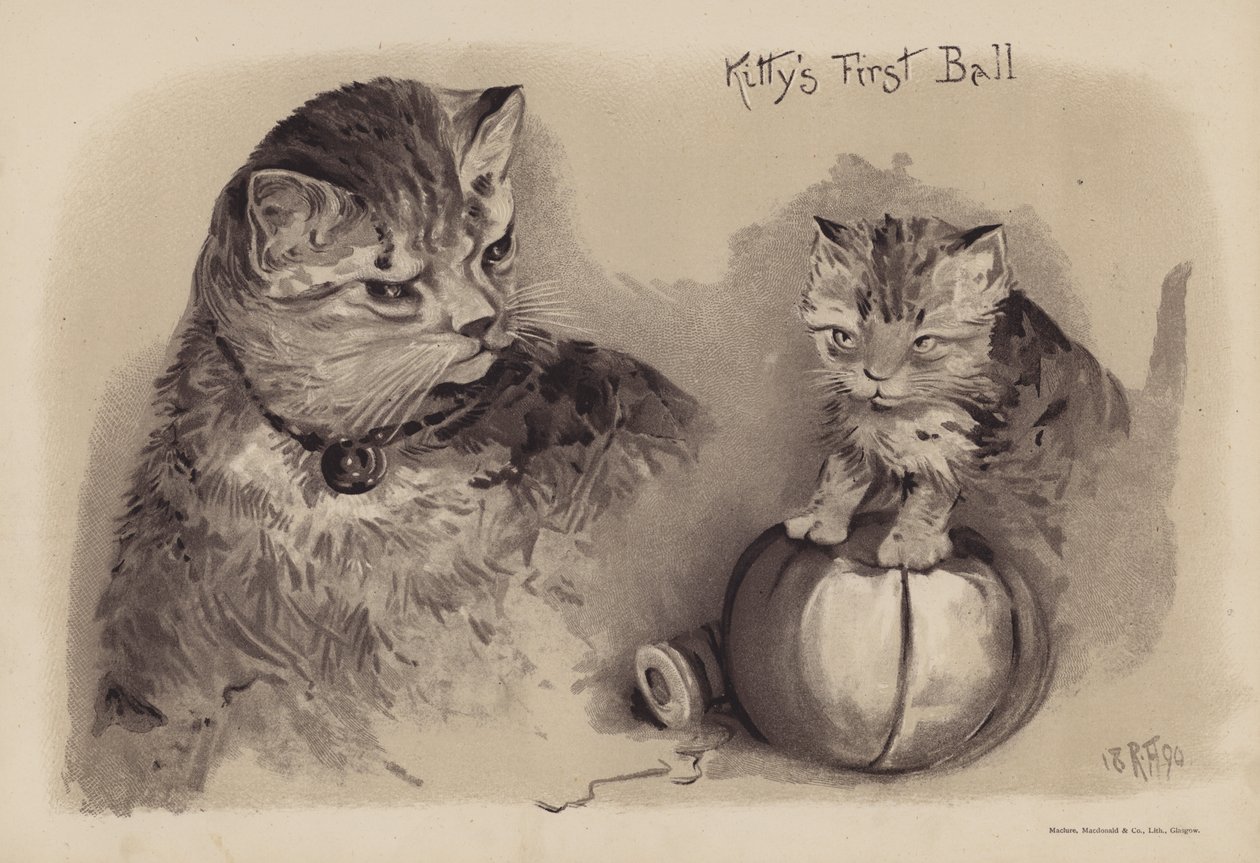 Kitty