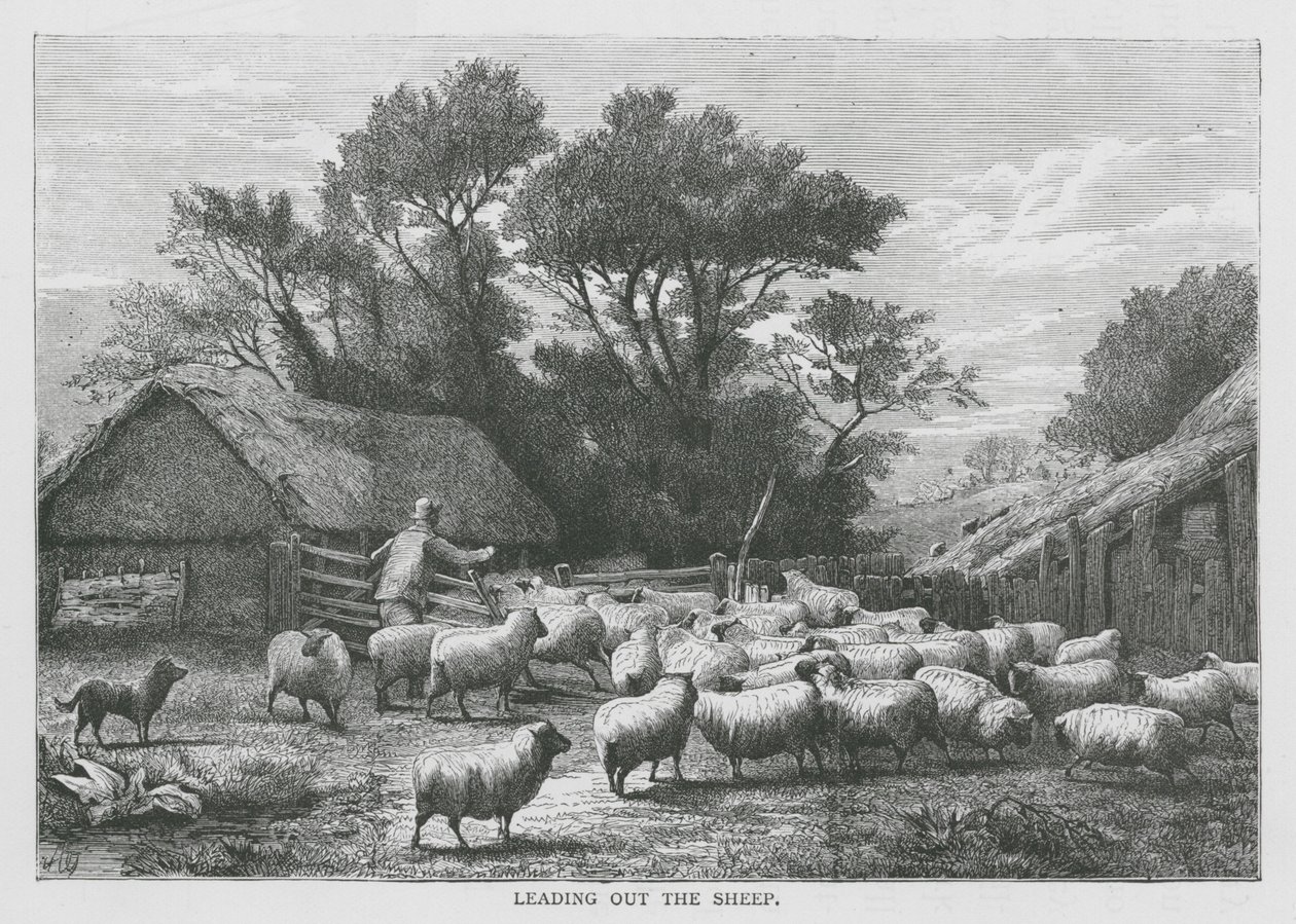 Leading Out the Sheep by English School