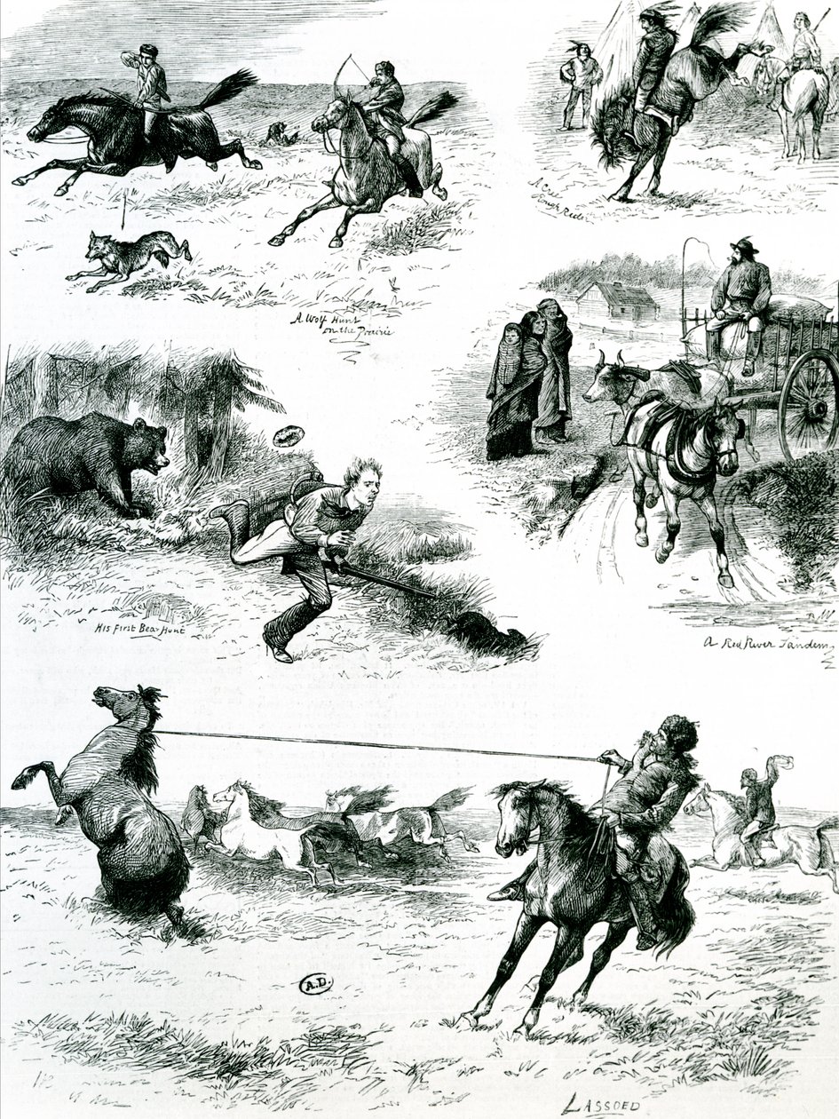 Life in Manitoba, 1877 by English School