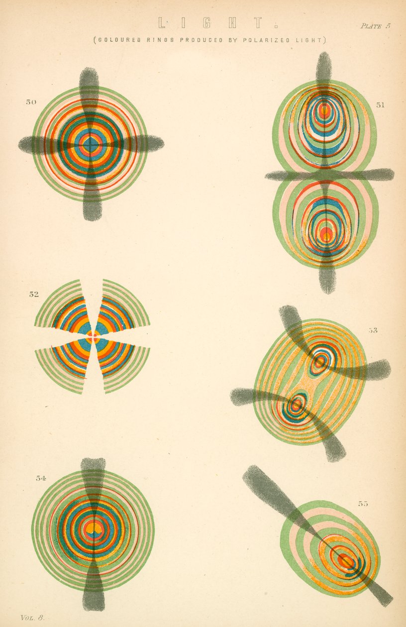 Light by English School